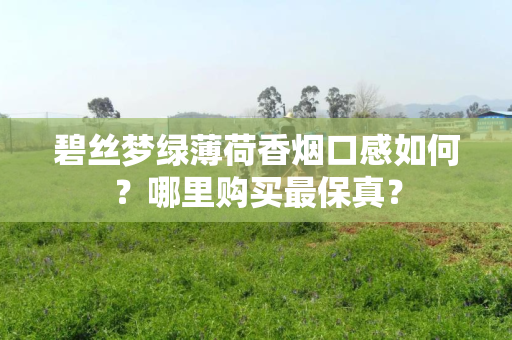 碧丝梦绿薄荷香烟口感如何？哪里购买最保真？